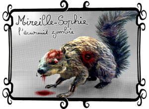 Mireille Sophie, l'écureuil zombie, une petite boule de poils et d'amour